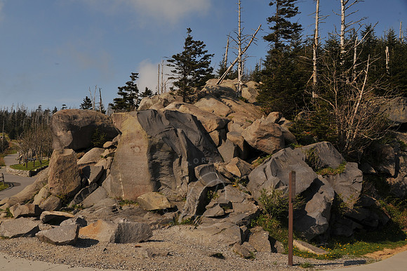 D79_0535