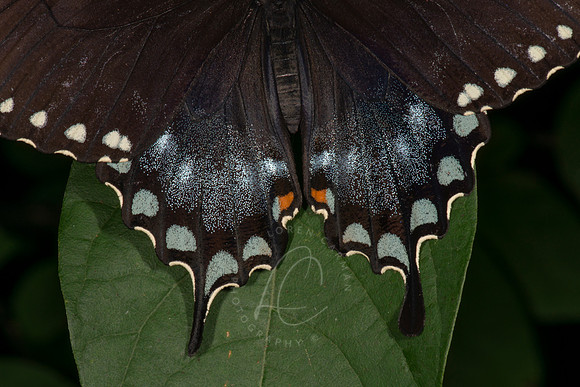 _5020286