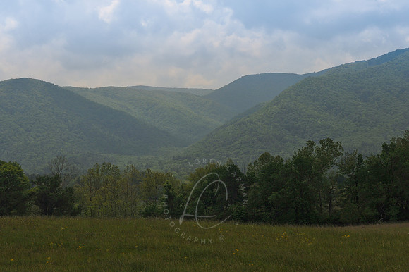 D79_0523