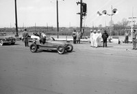 #3 Spider Webb Williams Grove (2)