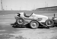 #3 Spider Webb Williams Grove