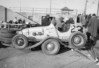 #3 Spider Webb Williams Grove (4)