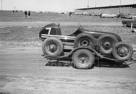 #7 George Lynch Williams Grove (3)