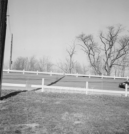 Williams Grove