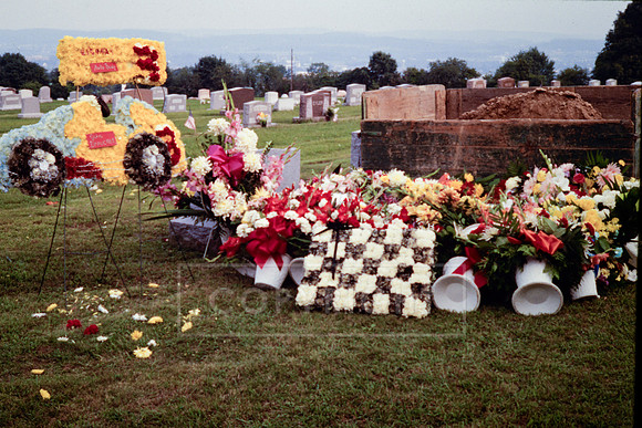 John Draucker Flowers at Cemetary-7 (3)