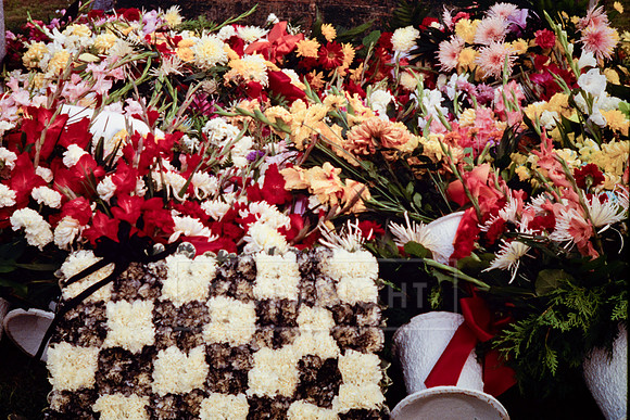 John Draucker Flowers at Cemetary-7 (8)