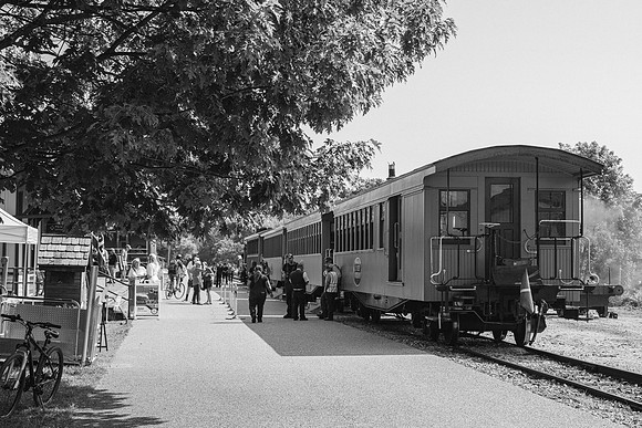 _Z994571-2