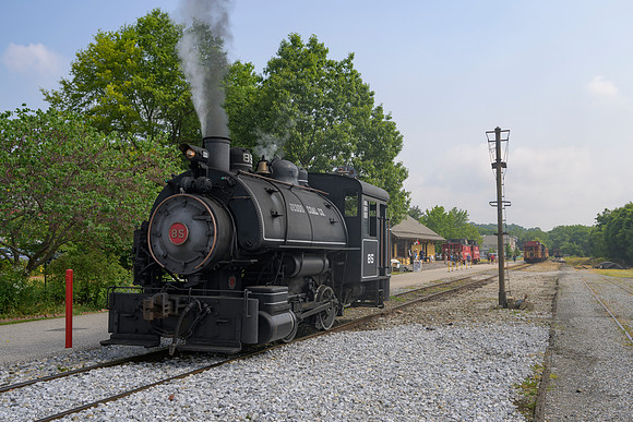 _Z994238