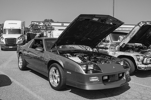 _Z993597-2