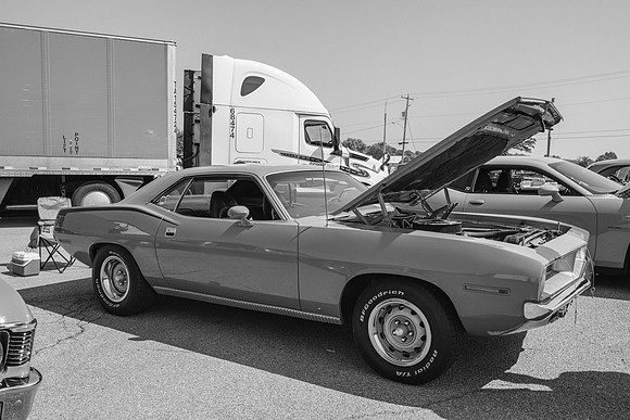 _Z993580-2