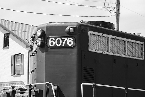 _Z991572-2