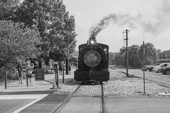 _Z994236-2