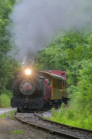 _Z994352