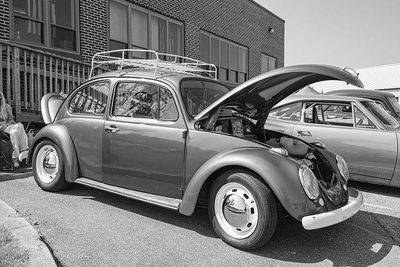 _Z993573-2