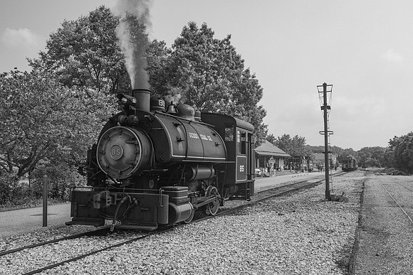 _Z994238-2
