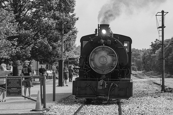 _Z994231-2