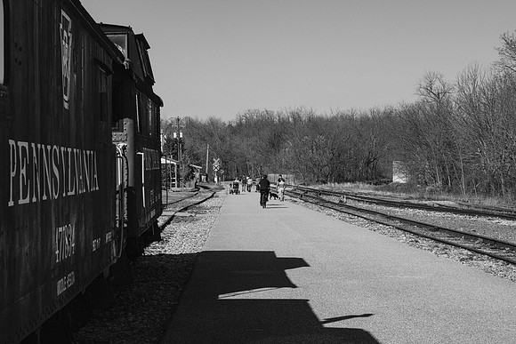 _Z993283-2