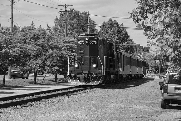 _Z991554-2