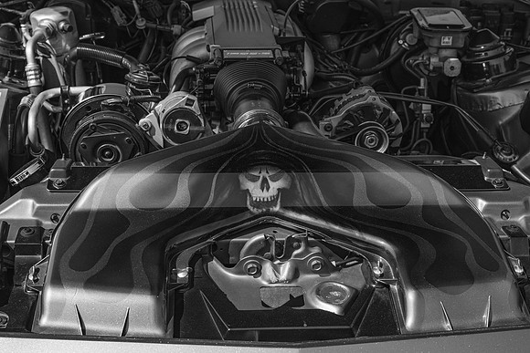 _Z993599-2