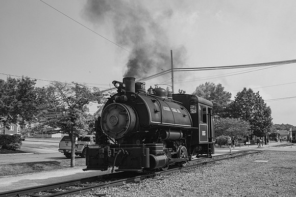 _Z994218-2