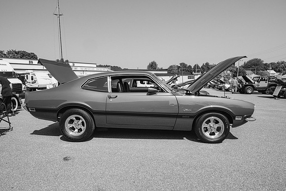 _Z993592-2
