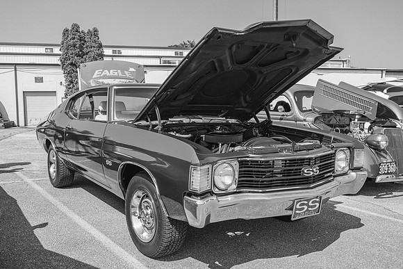 _Z993609-2