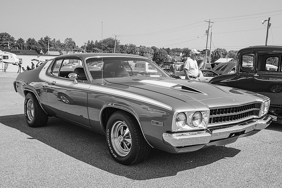 _Z993586-2