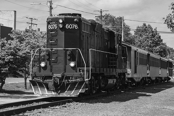 _Z991557-2