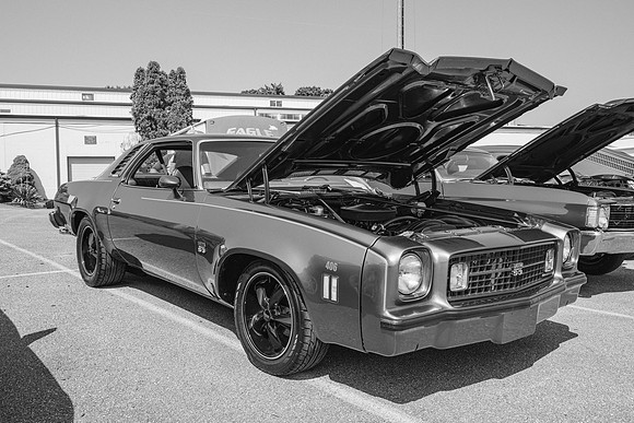 _Z993607-2