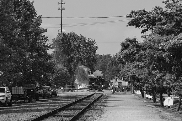 _Z994202-2