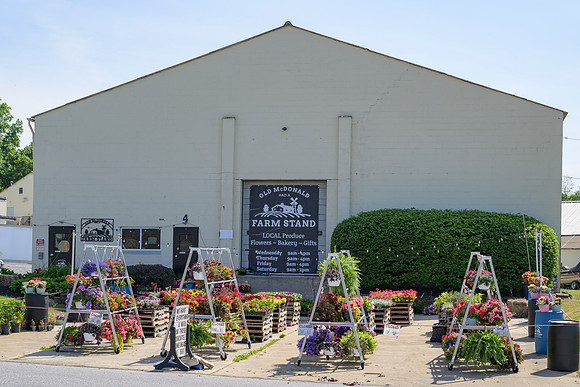 60 East High Street Old McDonald Had A Farm Stand _Z993096