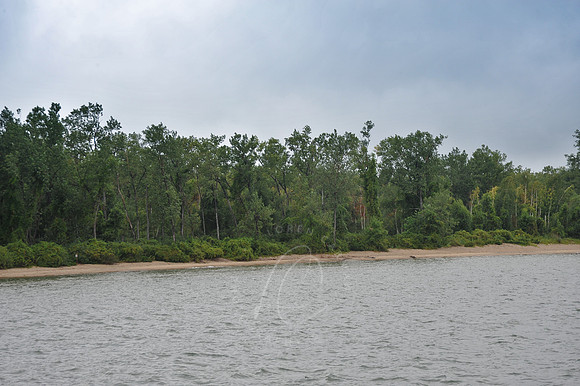 D74_2843