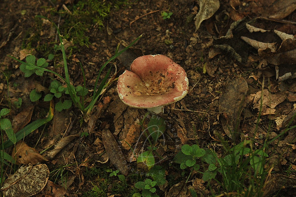 D74_3030