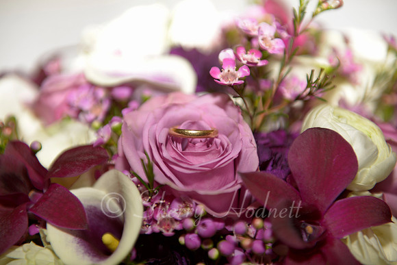 VANDERSLOOT_2-13-15_SLH_WED-14
