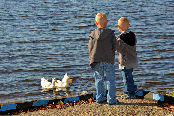 CANNON_10-20-13_LLC_FP-28
