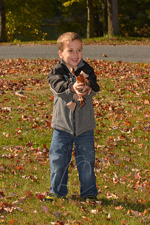 SHAFFER_10-27-13_LLC_FP-90
