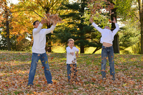 SHAFFER_10-27-13_LLC_FP-93