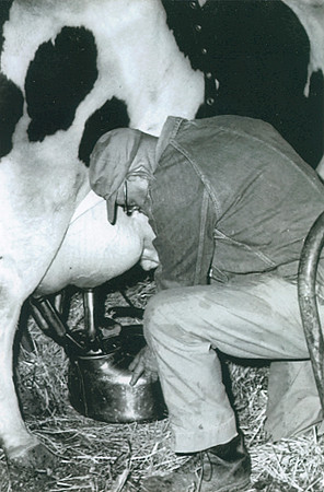 John Parrish Sr Milking Cow - 1966