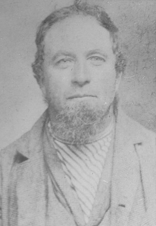 Peter M Shearer