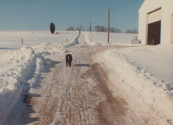 Snow Farm Photo - 1982 (2)