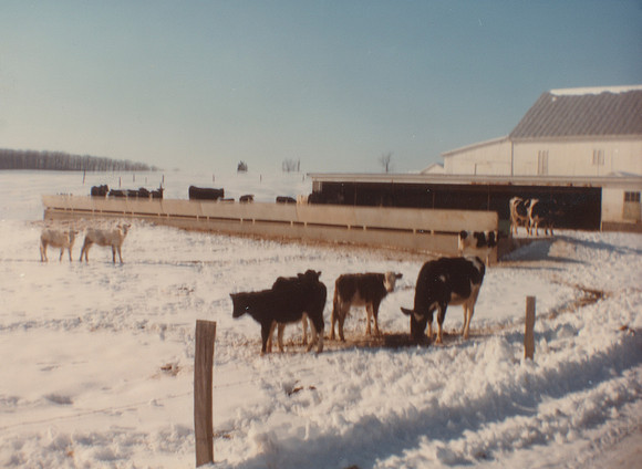 Snow Farm Photo - 1982
