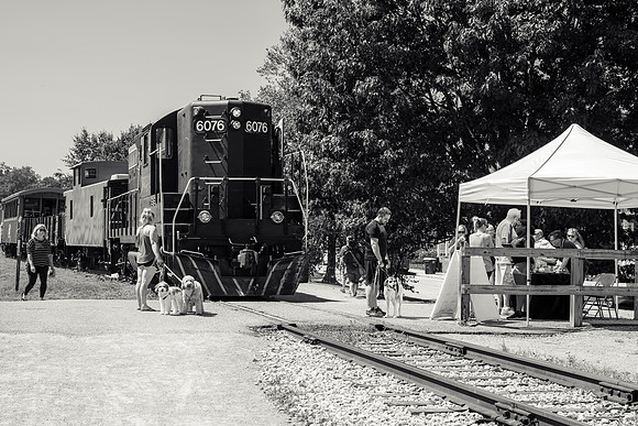 _DSC0059-2