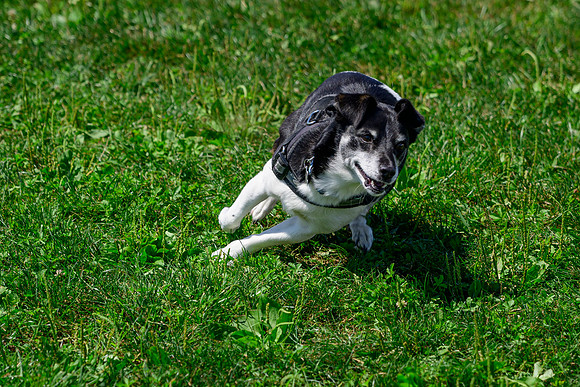 _DSC0083