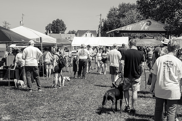 _DSC0147-2