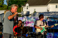 Concert In The Park