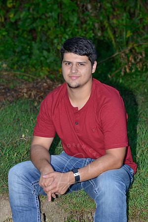 Woll_8-22-16_LLC_SR-49