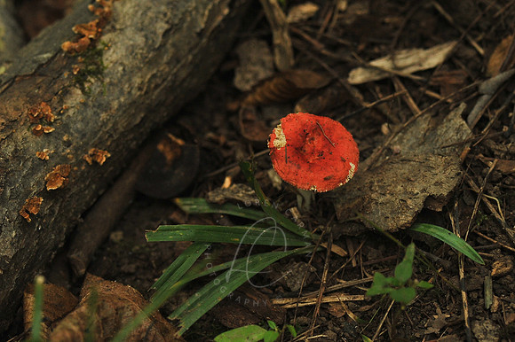 D74_3049