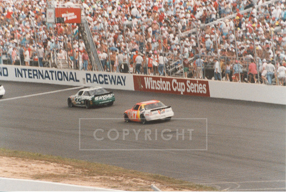 Cup Cars (2)