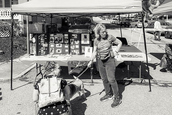 _ZZ75412-2