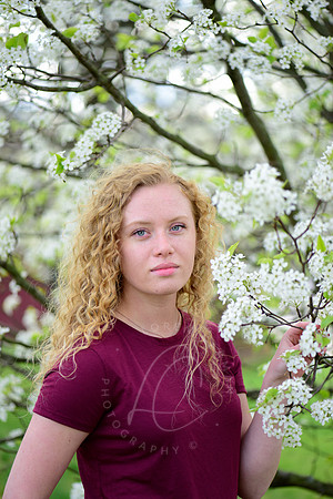_8103782-Edit